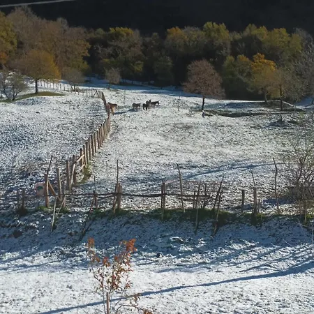 La Corte Del Segrino 4* Canzo